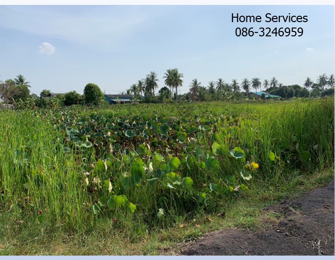ขายที่ดิน 4 ไร่ ถ.นฐ 4041 ต.ดอนรวก ดอนตูม นครปฐม ห่างจุดขึ้นลงทางด่วนบางใหญ่-กาญจนบุรี ประมาณ 4 กม. รูปที่ 4