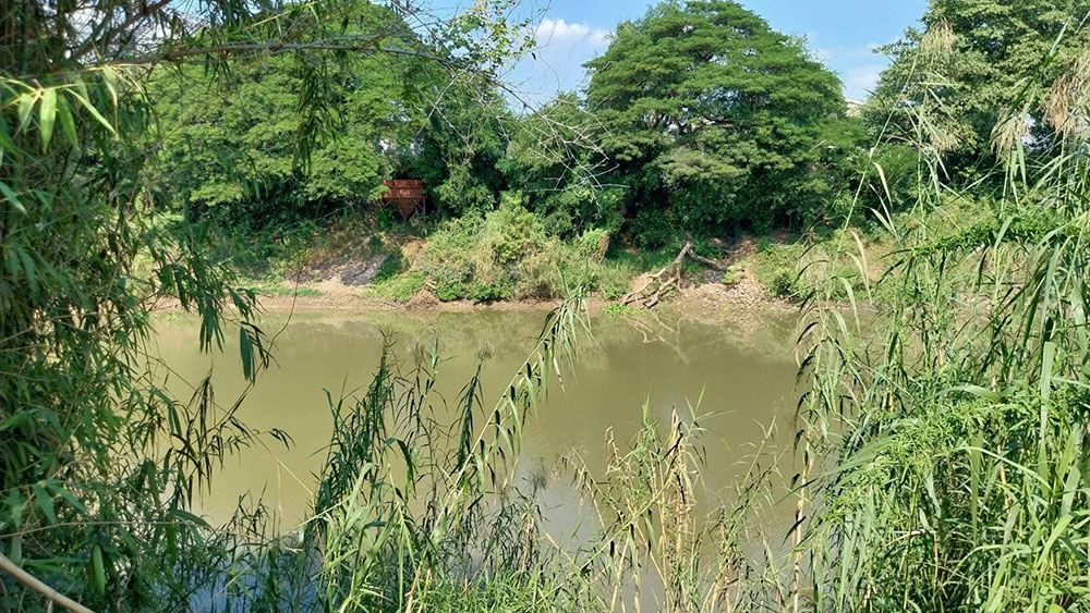 ขายที่ดินติดแม่น้ำป่าสัก  ติดถนน 4 ไร่ 2 งาน 62 ตร.วา อ.ท่าเรือ พระนครศรีอยุธยา สนใจโทร 091-8721079 รูปที่ 3