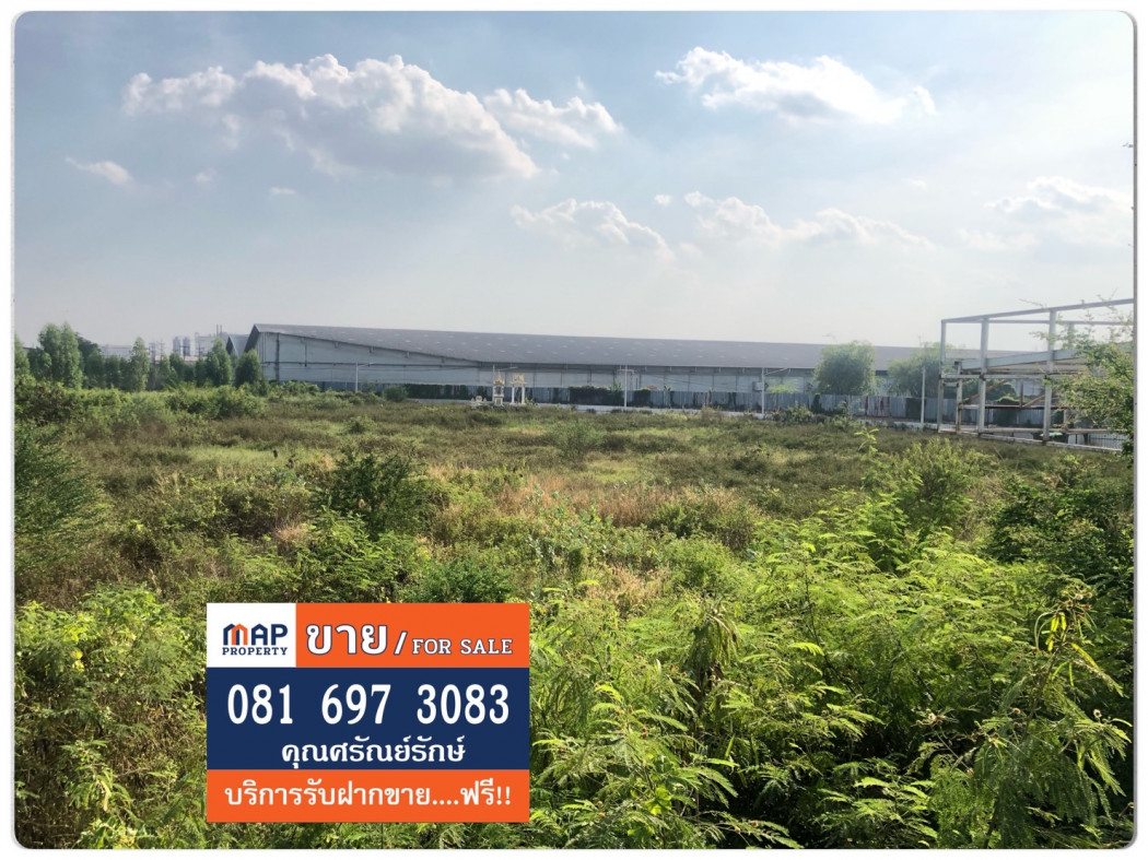 ขาย ที่ดิน - 23 ไร่ 3 งาน 23 ตร.วา ใกล้สหกรณ์โคนมหนองโพ บ้านโป่ง ราชบุรี รูปที่ 1