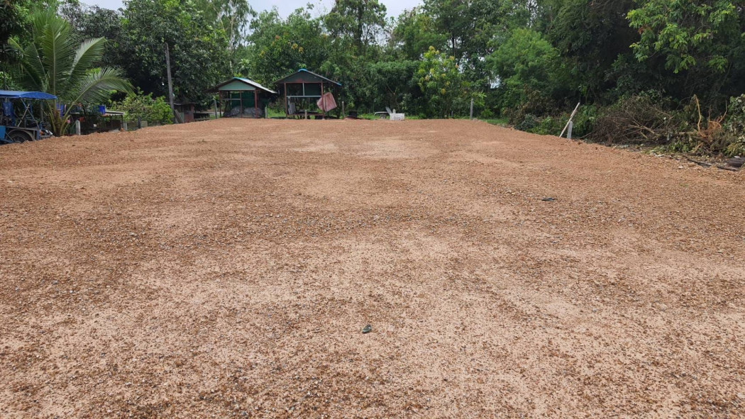 ขายที่ดินเชิงเนิน 142 ตรว. ซอยข้างวัดเนินพุธทรา ใกล้ถนนเส้นสุขุมวิท3 - 500 เมตร ถมแล้วเหมาะปลูกบ้าน เมืองระยอง จ.ระยอง รูปที่ 4