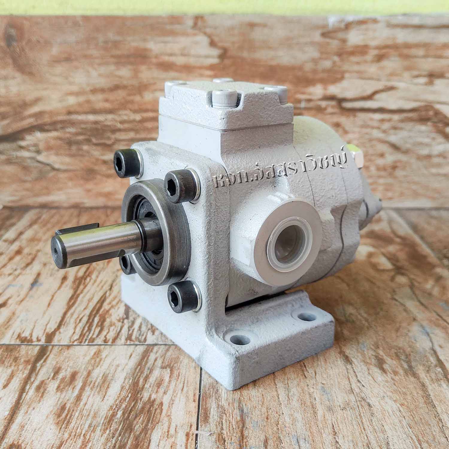 ปั๊มจ่ายน้ำมันหล่อลื่น ROP-2HA Series รูปที่ 3