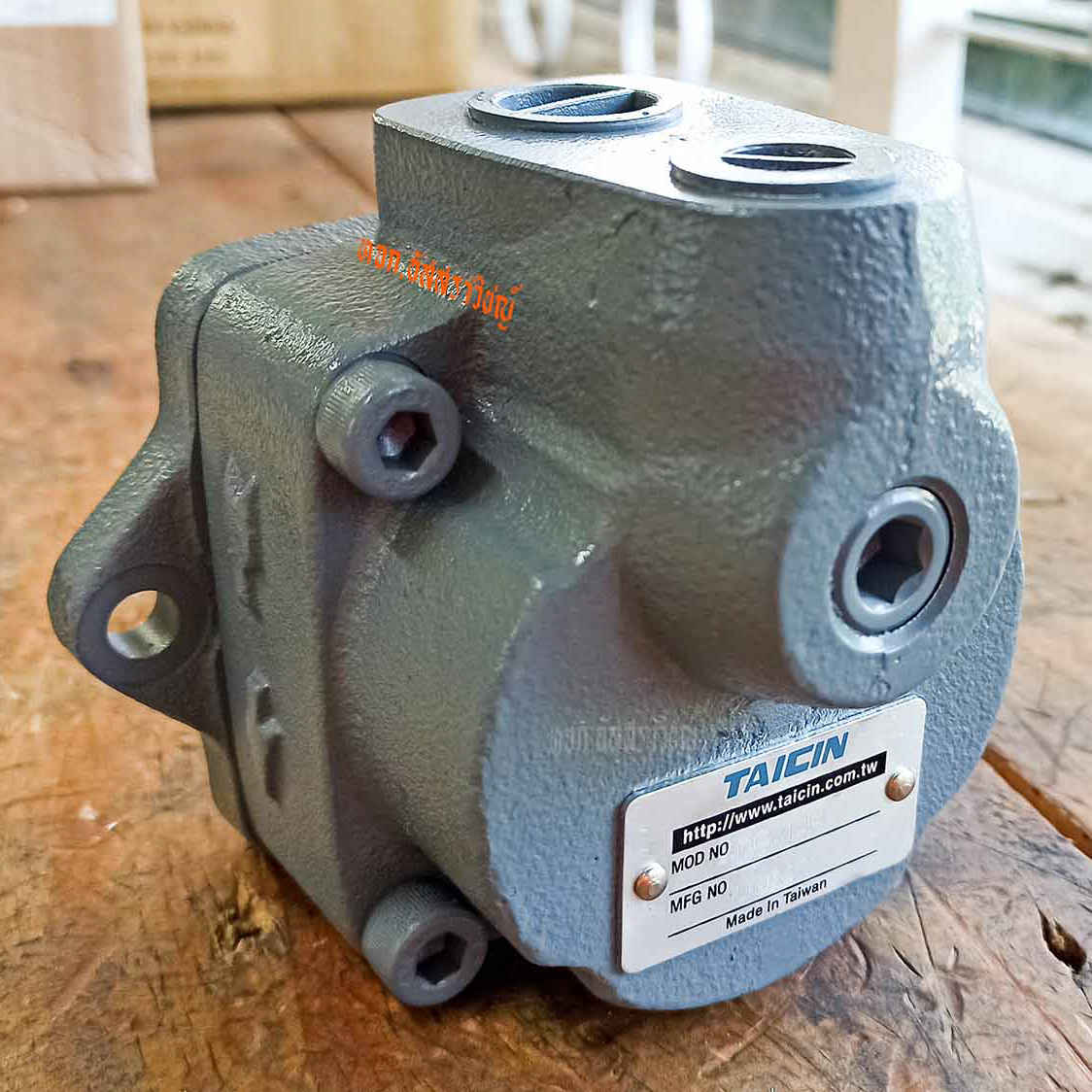 ปั๊มใบพัด (Vane Pump) Taicin DS Series รูปที่ 3