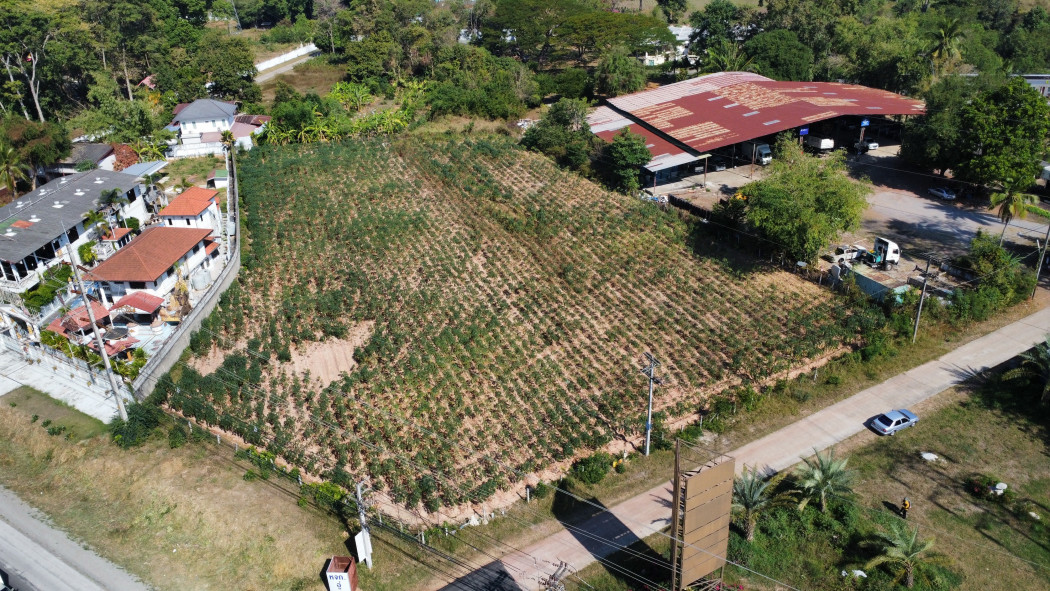 ขาย ที่ดิน ในตัวเมืองอุดรธานี ติดถนน 4 ไร่ 1 งาน 51 ตร.วา รูปที่ 1