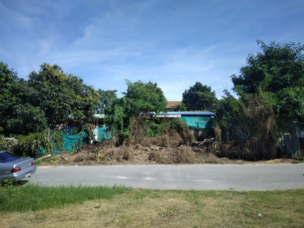 ขายที่ดินสัตหีบ บางเสร่ฝั่งบน 56 ตรว. ติดถนนลาดยางใกล้ถ.เส้นสุขุมวิท3 - 1 กม. ใกล้หาดบางเสร่ 3 กม. จ.ชลบุรี รูปที่ 4