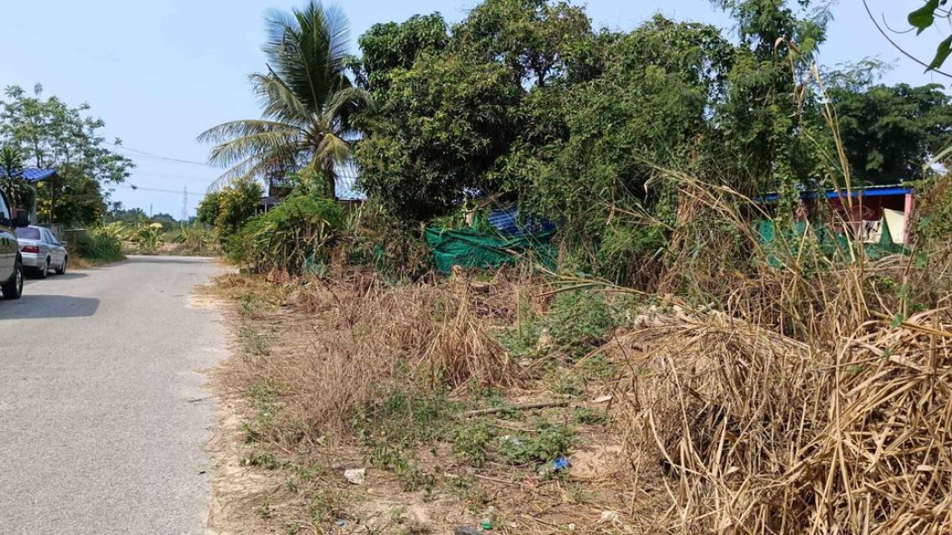 ขายที่ดินสัตหีบ บางเสร่ฝั่งบน 56 ตรว. ติดถนนลาดยางใกล้ถ.เส้นสุขุมวิท3 - 1 กม. ใกล้หาดบางเสร่ 3 กม. จ.ชลบุรี รูปที่ 2