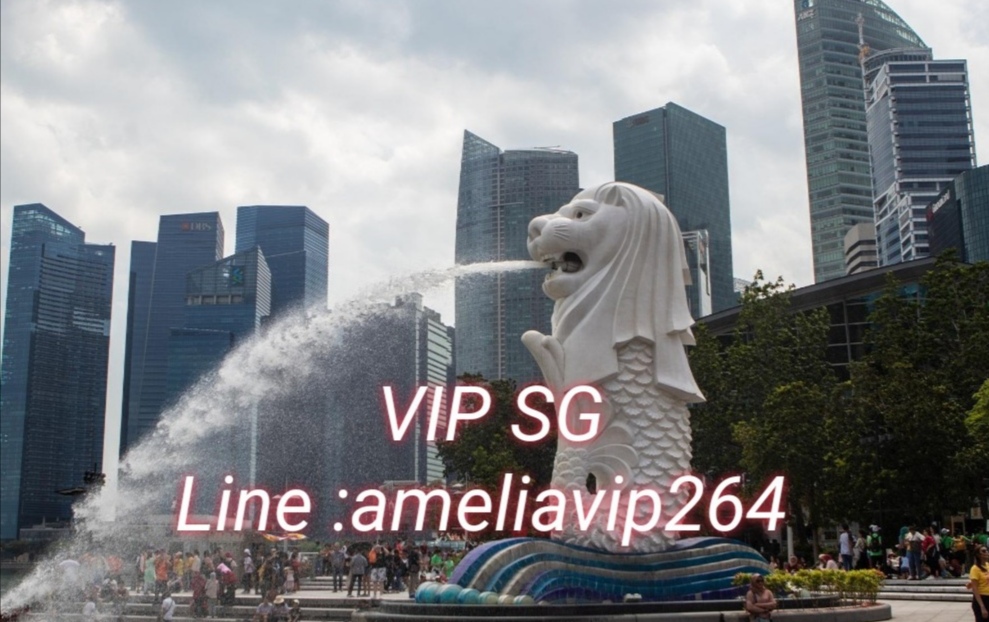 ​งาน, เงินเที่ยว​​VIP SG สิงคโปร์​++ทั่วโลก กับ​ ​ameliavip264​ รูปที่ 1