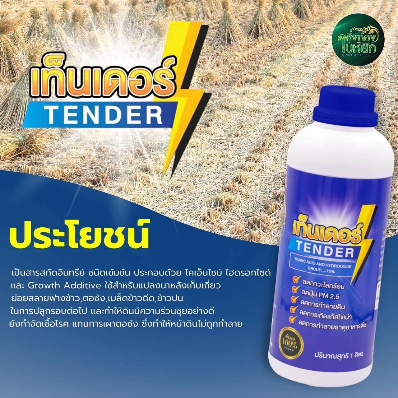 เท็นเดอร์ รูปที่ 3