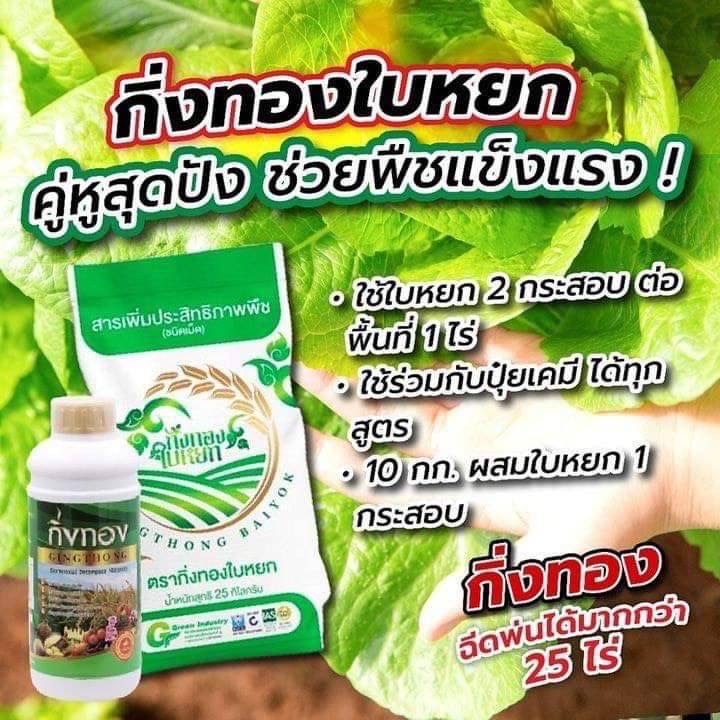 เท็นเดอร์ รูปที่ 6