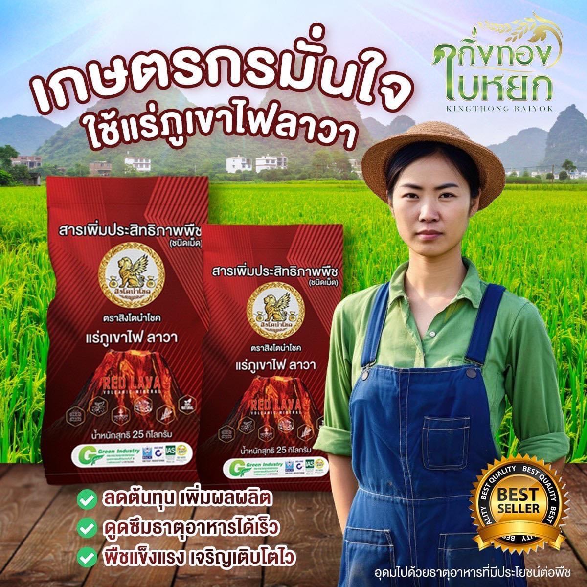 เท็นเดอร์ รูปที่ 4