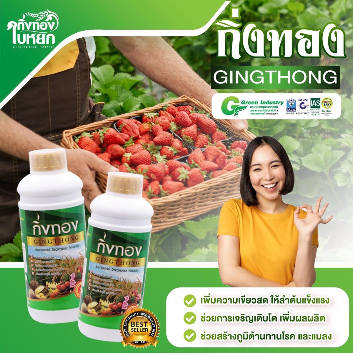 เท็นเดอร์ รูปที่ 5