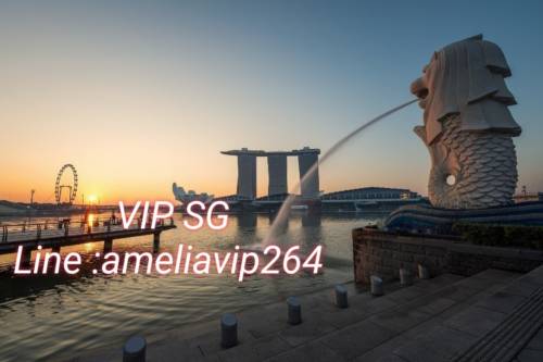 งาน​ VIP SG สิงคโปร์​++  ทั่วโลก​ กับ​ ameliavip264  รูปที่ 1
