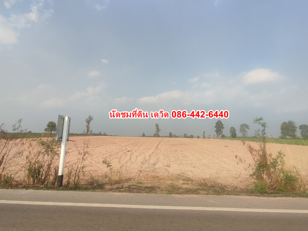 ขาย ที่ดิน ด่วน อยู่ใกล้สวนสัตว์ 19 นาที ในการเดินทางด้วยรถยนต์ ID-13681 รูปที่ 1