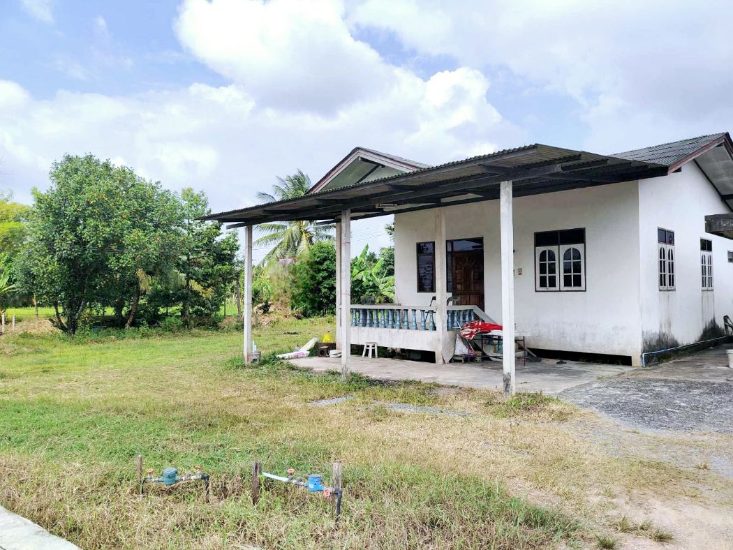 ขาย บ้านเดี่ยว  171 ตร.วา ติดถนนไชยบุรี ติดคลอง ใกล้ตัวเมืองพัทลุง รูปที่ 2