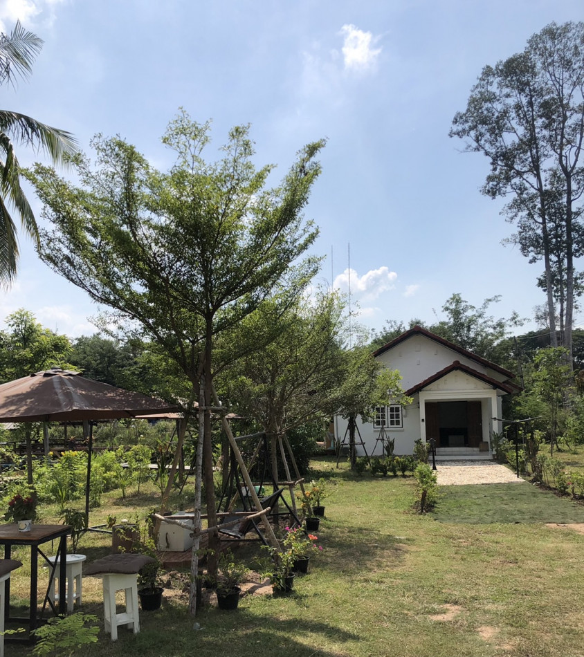 ขาย บ้านเดี่ยว 2 หลัง บรรยากาศเงียบสงบ 300 ตรม. 1 ไร่ 1 งาน 77.6 ตร.วา รูปที่ 10