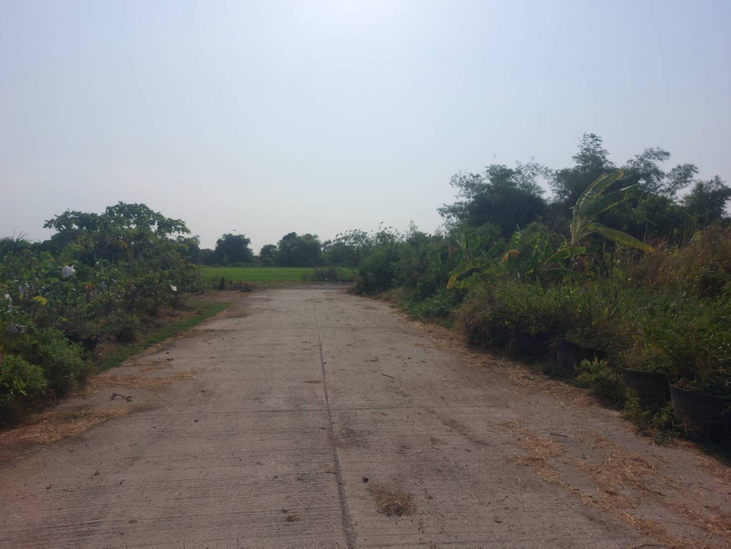 ขายที่ดินหลังโรงพยาบาลบางเสาธง 158 ตรว. ติดคลองได้ที่งอกเพิ่ม ติดถนนคอนกรีต เหมาะปลูกบ้านสวนเกษียณ จ.สมุทรปราการ รูปที่ 5