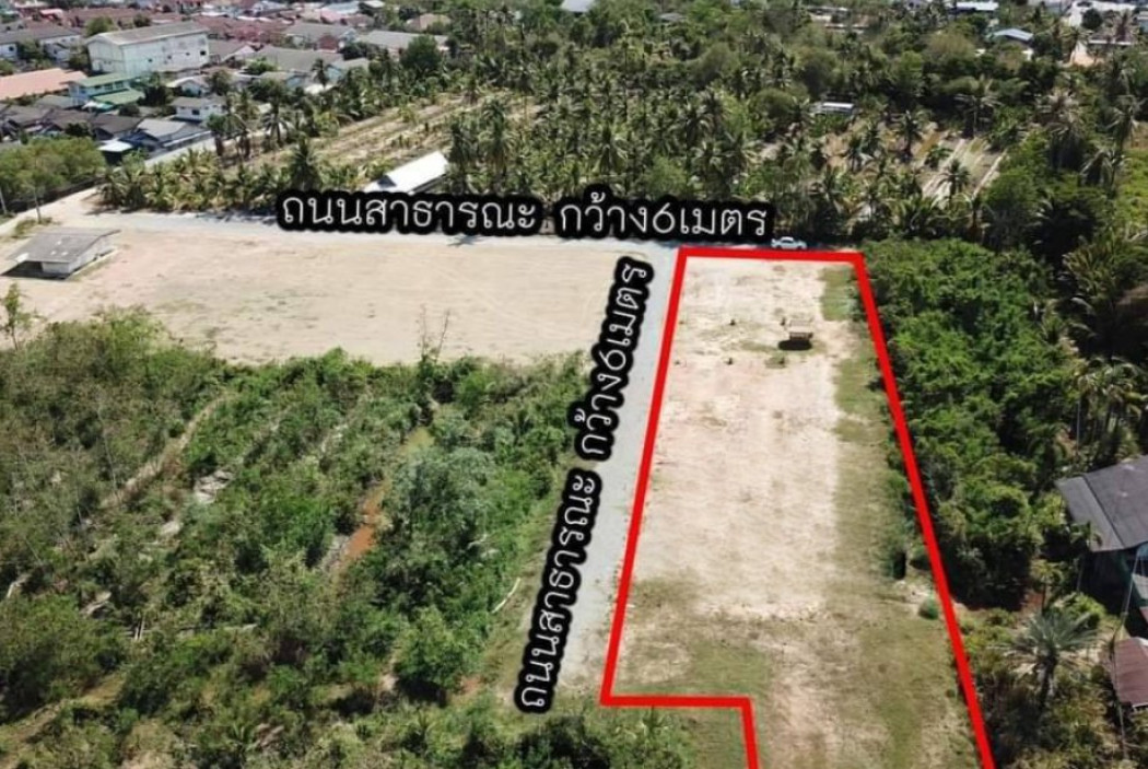 ขายที่ดินถมแล้วแปดริ้ว 80 ตรว. ใกล้ถนนเส้น 3200 - 900 เมตร ต.บ้านใหม่ เมืองฉะเชิงเทรา รูปที่ 7