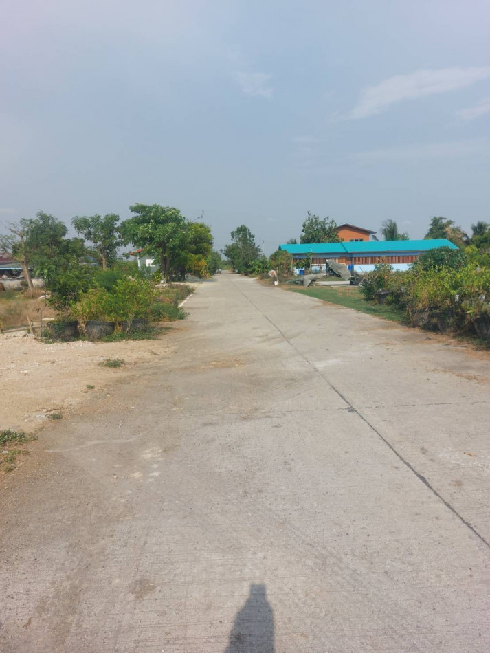 ขายที่ดินหลังโรงพยาบาลบางเสาธง 158 ตรว. ติดคลองได้ที่งอกเพิ่ม ติดถนนคอนกรีต เหมาะปลูกบ้านสวนเกษียณ จ.สมุทรปราการ รูปที่ 4