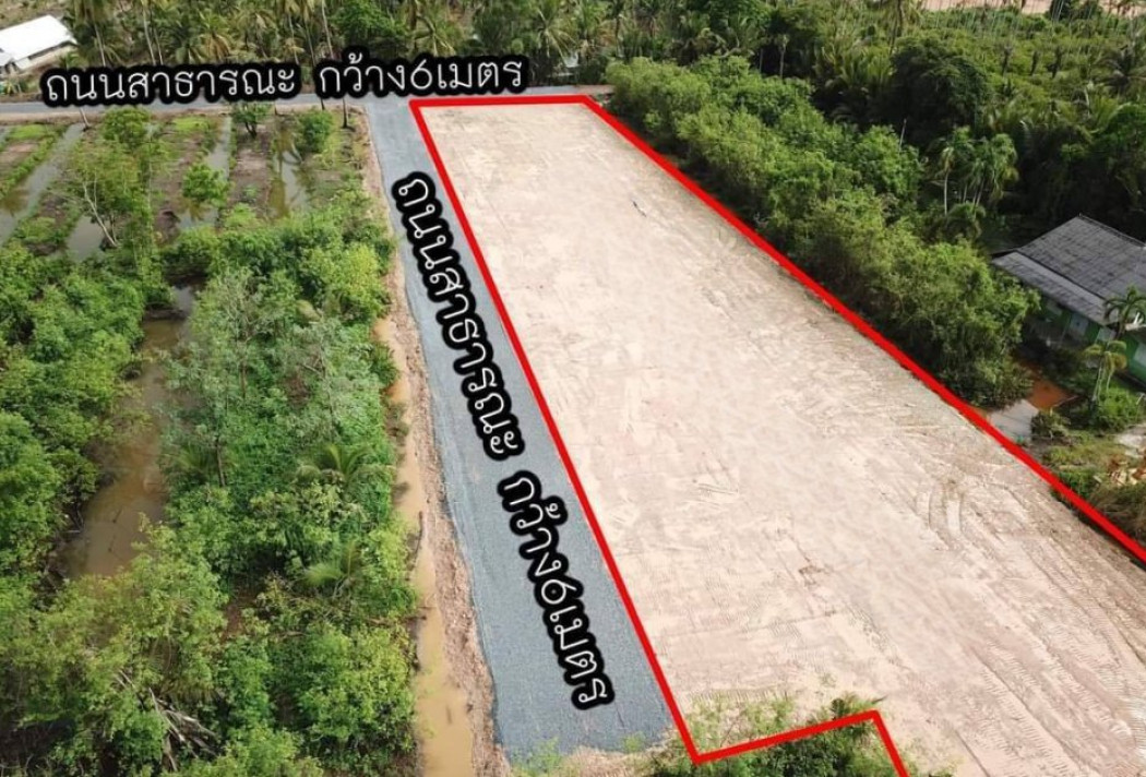 ขายที่ดินถมแล้วแปดริ้ว 80 ตรว. ใกล้ถนนเส้น 3200 - 900 เมตร ต.บ้านใหม่ เมืองฉะเชิงเทรา รูปที่ 9