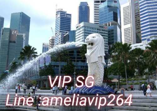 งาน​วีไอพี​ต่างประเทศ​สิงคโปร์​+++ ameliavip264  รูปที่ 4