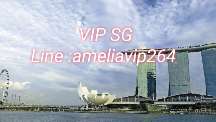 งาน, เงิน, เที่ยว​ จบ​ที่​เดียว​ VIP SG สิงคโปร์​กับ. ameliavip264  รูปที่ 1