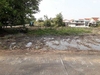 รูปย่อ ที่ดินแบ่งขาย ในซอยวัดพระเงิน นนทบุรี ทำเลดี ราคาถูก รูปที่4