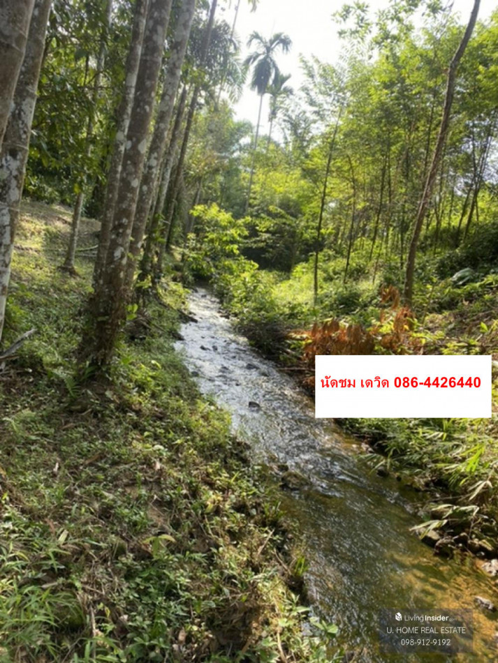 ขาย ที่ดิน อำเภอ กระเปอร์ จังหวัดระนอง ID-13699 รูปที่ 4