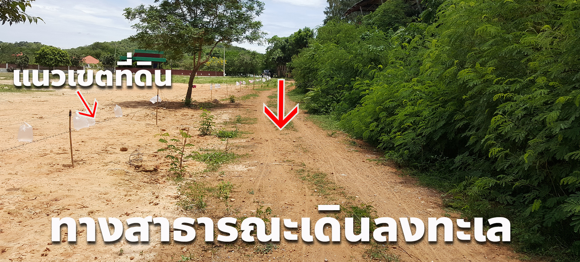 ขายที่ดิน สามร้อยยอด ใกล้ชายหาด สวรรค์แห่งการพักผ่อน รูปที่ 4