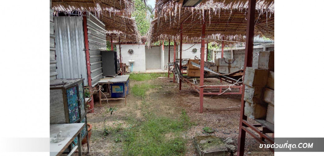 ขายที่ดินพร้อมบ้านเดี่ยวชั้นเดียว 245 ตร.ว. ตั้งอยู่ ถ.เลี่ยงหนองมน จ.ชลบุรี รูปที่ 5