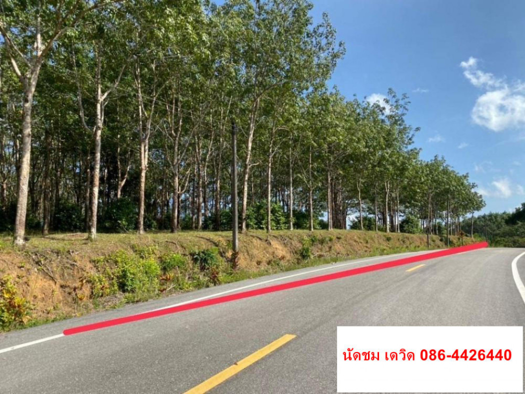 ขาย ที่ดิน อำเภอ กระเปอร์ จังหวัดระนอง ID-13699 รูปที่ 3