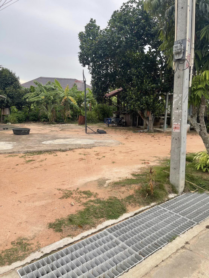 ขายที่ดินห้วยใหญ่ พัทยา 102 ตรว. ถมแล้ว ติดถนนซอยชากนอก16 ใกล้หาดจอมเทียน6กม. อ.บางละมุง ชลบุรี รูปที่ 2
