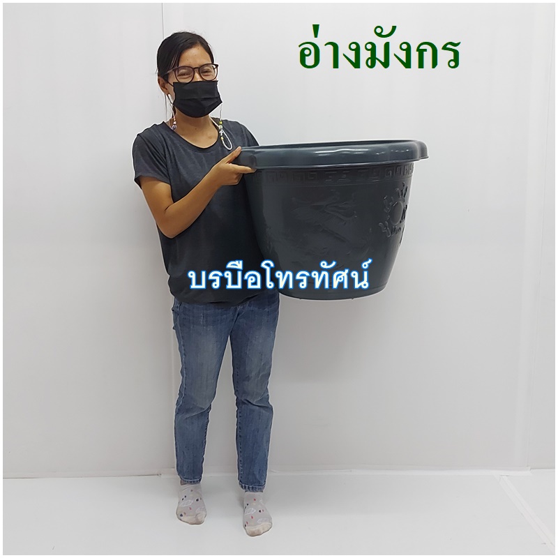 กระถางต้นไม้ อ่างมังกรปลูกดอกบัวขนาดใหญ่ อ่างบัวพลาสติก-. รูปที่ 2