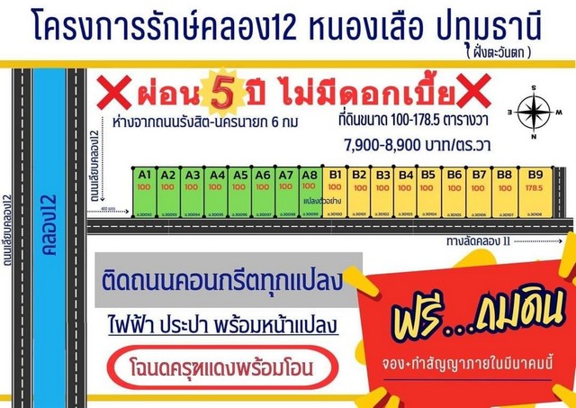 #ที่ดินคลอง12 (#ซอยรักษ์น้ำมะนาว) #หนองเสือ #ปทุมธานี  ขนาด 100 ตร.ว  เงินสด 790,000 บาท ✅เงินผ่อน 890,000 บาท รูปที่ 1