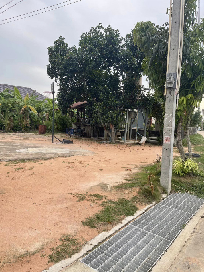 ขายที่ดินห้วยใหญ่ พัทยา 102 ตรว. ถมแล้ว ติดถนนซอยชากนอก16 ใกล้หาดจอมเทียน6กม. อ.บางละมุง ชลบุรี รูปที่ 3