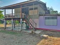 ขายบ้านครึ่งตึกครึ่งไม้   สรรคบุรี  ชัยนาท (PAP-6-0227 )