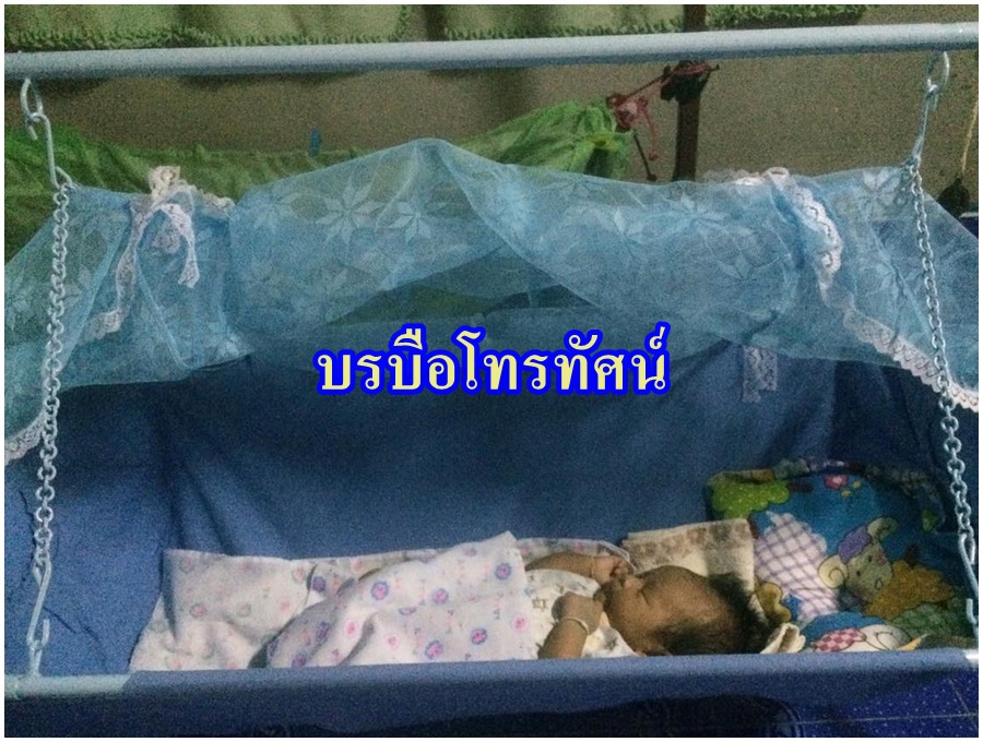 เปลโซ่ เปลห่อตัวเด็ก มุ้งครอบไปในตัว-. รูปที่ 5