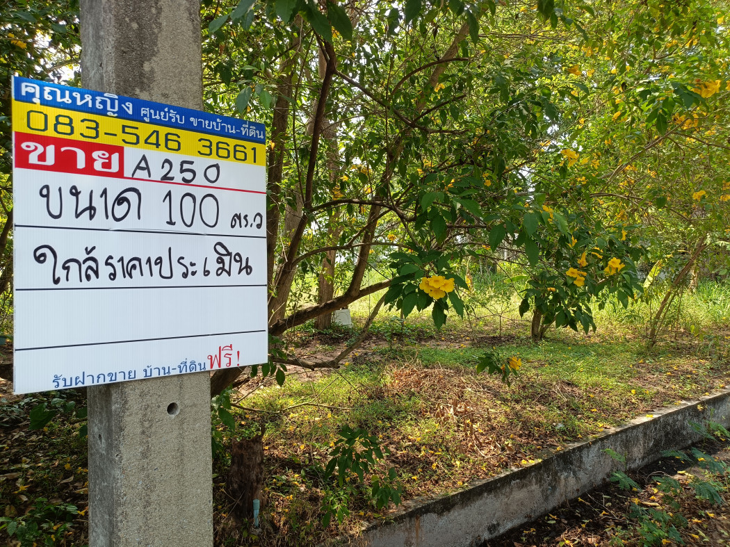 ขายที่ดิน ตะเคียนเตี้ย บางละมุง วิวธรรมชาติหลักล้าน ใกล้อ่างเก็บน้ำ ให้ความเป็นส่วนตัวสูง รูปที่ 2