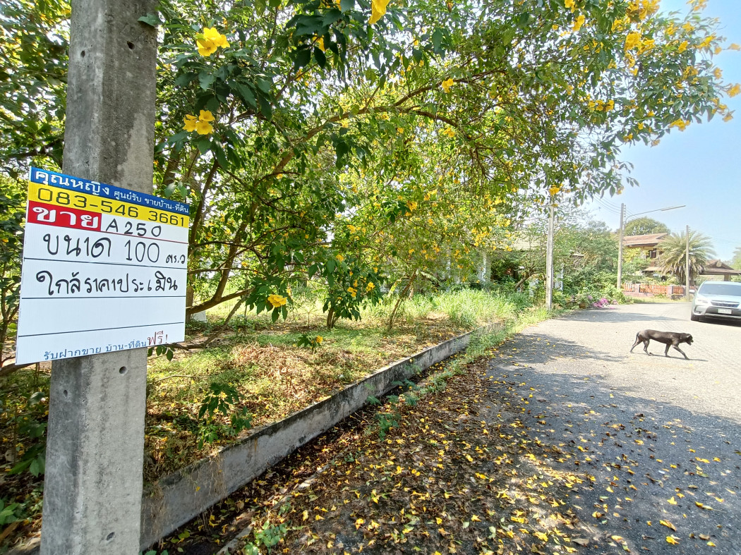 ขายที่ดิน ตะเคียนเตี้ย บางละมุง วิวธรรมชาติหลักล้าน ใกล้อ่างเก็บน้ำ ให้ความเป็นส่วนตัวสูง รูปที่ 5