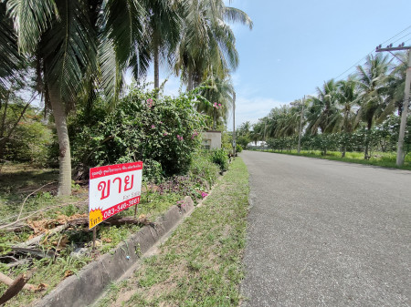 ขายที่ดิน ในโครงการบ้านเนินน้ำ ติดอ่างเก็บน้ำ พื้นที่ตะเคียนเตี้ย วิวสวยมาก ให้ความเป็นส่วนตัว จากกรุงเทพเพียง 45 นาที รูปที่ 10