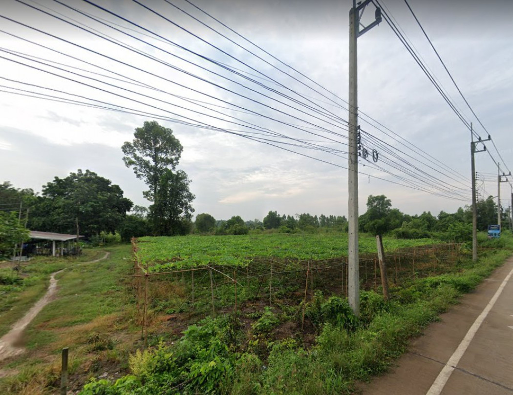 ขายที่ดินสีม่วง 2 ไร่ ติดถนนคอนกรีต ใกล้.(แยกระเบาะไผ่)และถนนเส้น 304 - 4.7 กม. อ.ศรีมหาโพธิ จ.ปราจีนบุรี รูปที่ 1