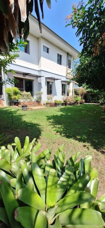 ให้เช่า บ้านเดี่ยว M238 The Plant Estique Pattanakarn 38 185 ตรม. 77 ตร.วา รูปที่ 2
