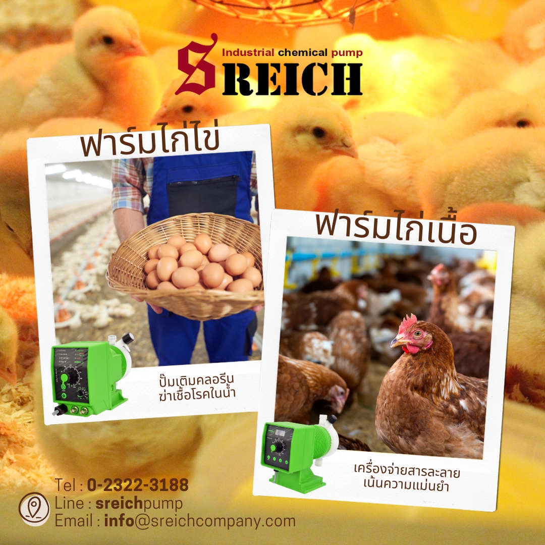 ฟาร์มไก่ไข่ ฟาร์มไก่เนื้อ ดูแลน้ำเลี้ยงไก่ด้วยการเติมคลอรีนฆ่าเชื้ออย่างระมัดระวัง รูปที่ 1