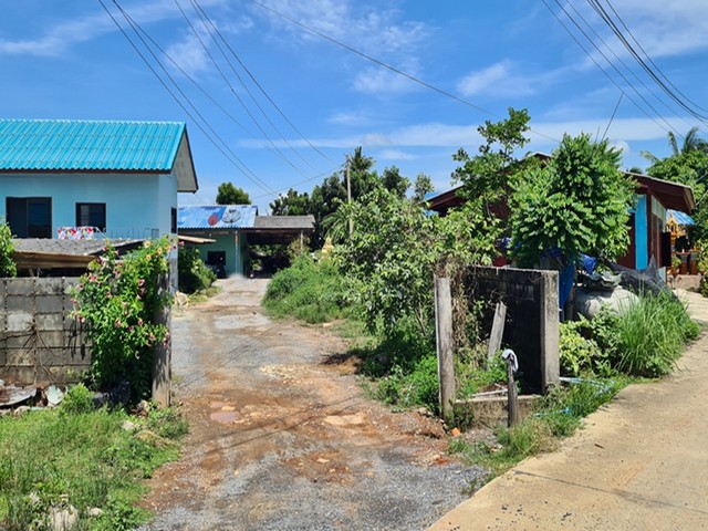 ขายบ้านเดี่ยว            บางเลน นครปฐม (PAP-1-0609 ) รูปที่ 1