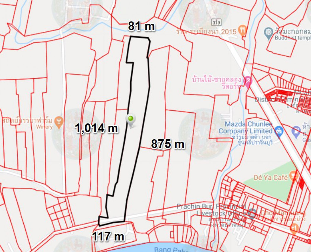 ขายที่ดินกระจะ เมืองปราจีน 42 ไร่ ติดถนนลาดยาง หลังติดคลองราคาถูก  ใกล้โรบินสัน 5 กม. จ.ปราจีนบุรี รูปที่ 6