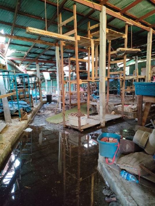 ขายถูกบ้านเดี่ยว 2 ชั้น เนื้อที่ 200 ตรว. มีโกดังเก็บของ อยู่ในซอยเพชรเกษม81 สนใจโทร 080 059 7734 รูปที่ 7