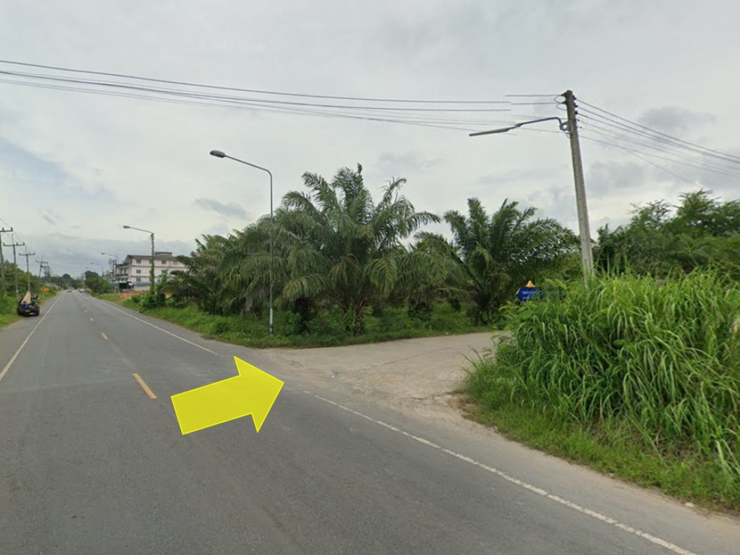 ขาย ที่ดิน กาญจนดิษฐ์ สี่แยกพ่วง 27 ไร่ 2 งาน 57 ตร.วา สวนปาล์มพร้อมขาย เหมาะทำโครงการจัดสรร รูปที่ 8