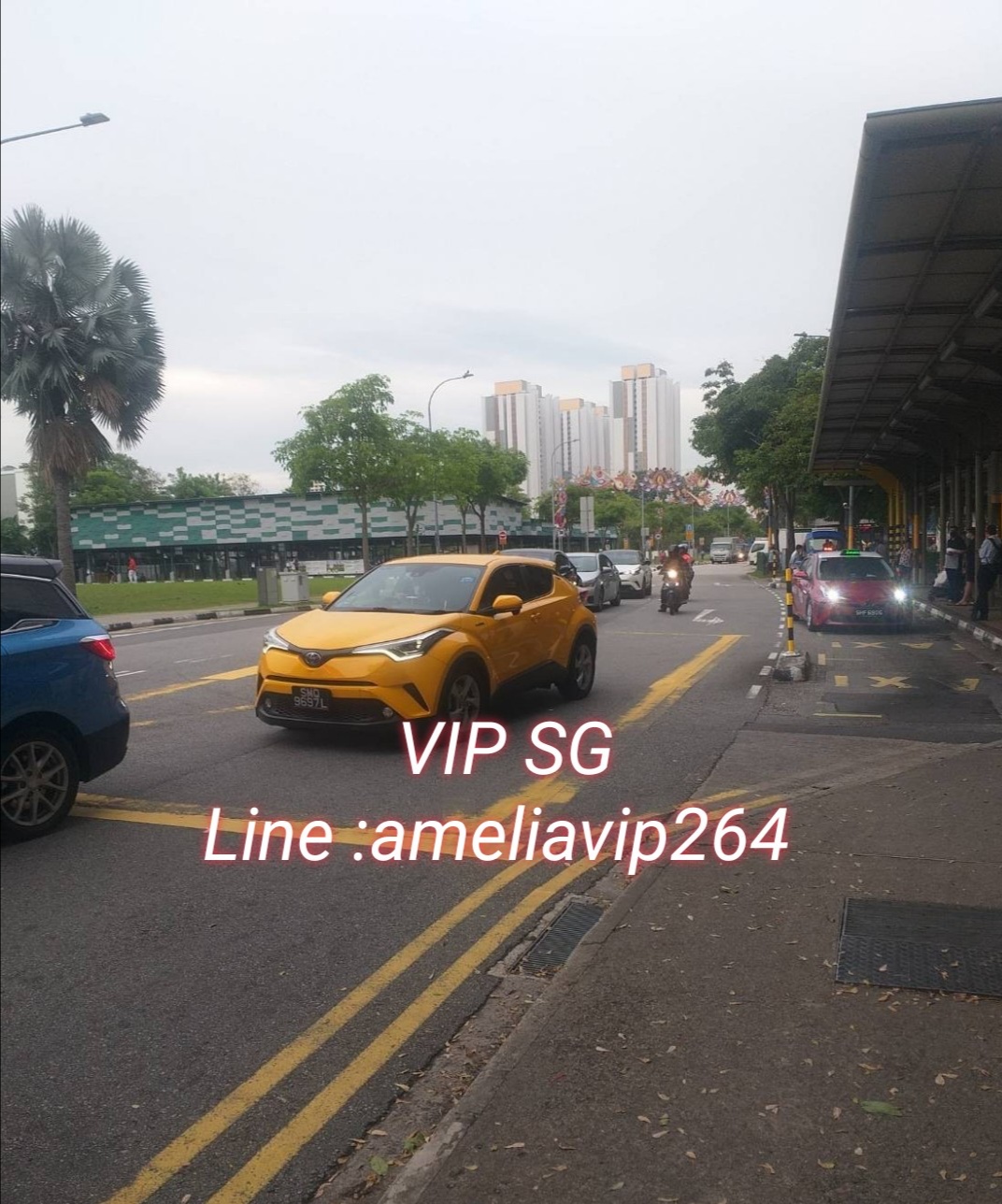 งาน​วีไอพี​ต่างประเทศ​สิงคโปร์​+++ ameliavip264  รูปที่ 4