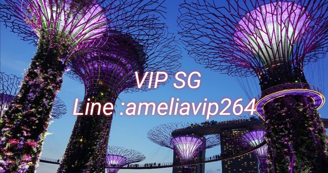 งาน​ VIP SG สิงคโปร์​++  ทั่วโลก​ กับ​ ameliavip264  รูปที่ 5