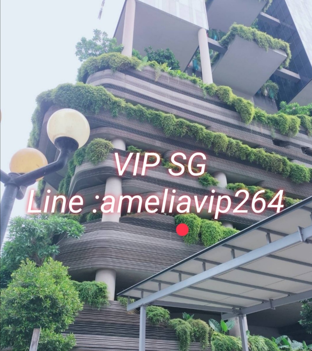 งาน​วีไอพี​ต่างประเทศ​สิงคโปร์​+++ ameliavip264  รูปที่ 7