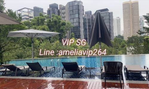 งาน​ VIP SG สิงคโปร์​++  ทั่วโลก​ กับ​ ameliavip264  รูปที่ 2
