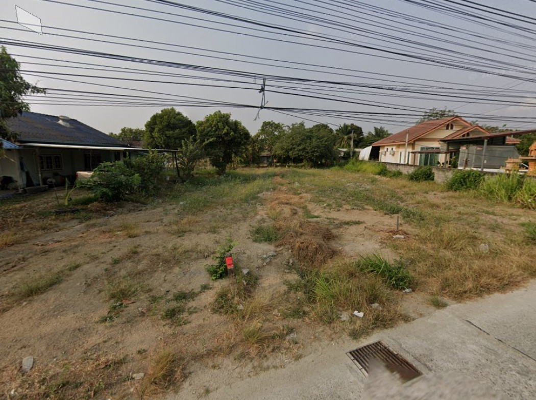 ขายที่ดินคลองกิ่ว 204 ตรว. ติดถนนคอนกรีตซอยบึงไม้แก่น ใกล้แยกหัวกุญแจ - 2.4 กม. อ.บ้านบึง ชลบุรี รูปที่ 3